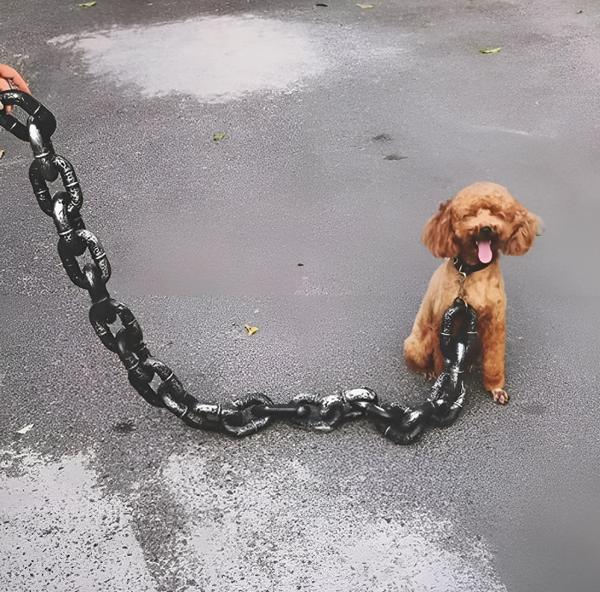 Irony Leash